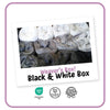 Black White Box
